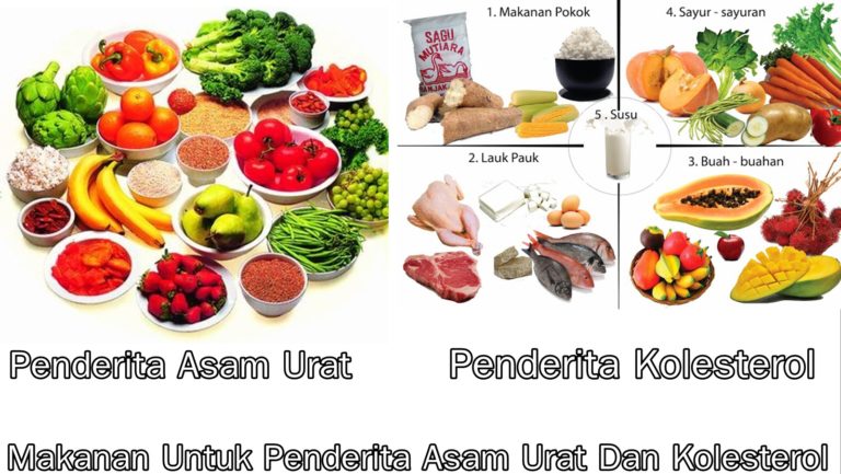 Makanan Untuk Penderita Asam Urat Dan Kolesterol