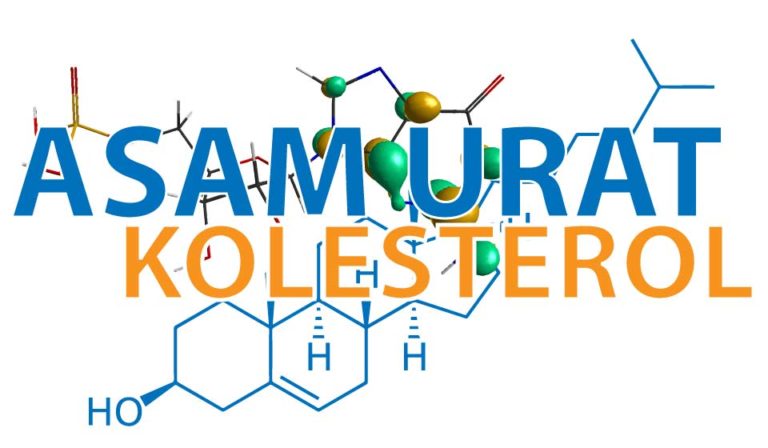 Makanan Untuk Penderita Asam Urat Dan Kolesterol
